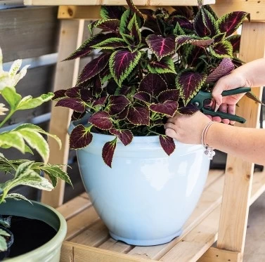 Kelkay Classic Planter - Blue 1 Kelkay Classic Planter - Blue