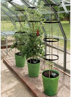 Garland Self Watering Grow Pot Planter - Green