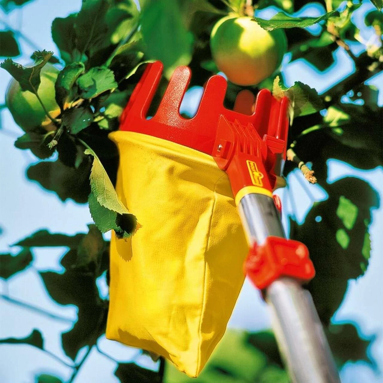 Wolf-Garten Wolf Adjustable Fruit Picker 2 Wolf-Garten Wolf Adjustable Fruit Picker - Image 2