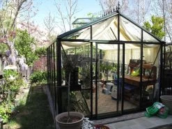 Janssens Helios Senior Victorian 180/25 Tempered Glass Greenhouse