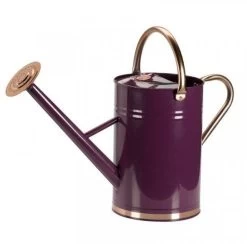 Smart Garden Watering Can - Violet 4.5L