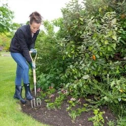 Wilkinson Sword Stainless Steel Border Fork -Garden Living Outlet Store 45294 5123