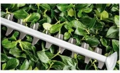 Bosch UniversalHedgeCut 60 Hedge Trimmer -Garden Living Outlet Store 51033 30819