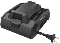 EGO CH3200E 320W Quick Charger 5 EGO CH3200E 320W Quick Charger -Garden Living Outlet Store 51907 28278